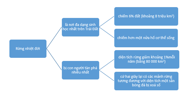 SBT Ngữ văn 10 Bài tập 3 trang 14 Kết nối tri thức