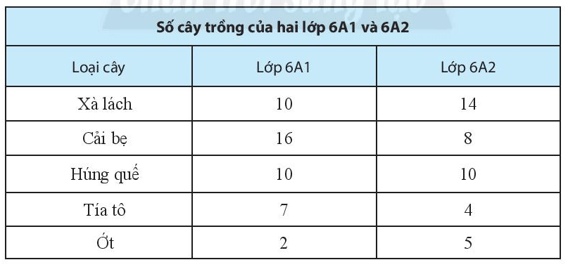 Sách bài tập Toán lớp 6 Bài tập cuối chương 4 | Giải SBT Toán 6 Chân trời sáng tạo