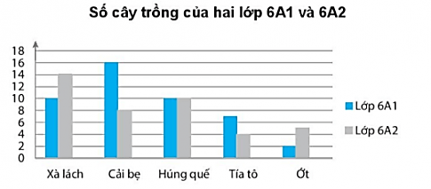 Sách bài tập Toán lớp 6 Bài tập cuối chương 4 | Giải SBT Toán 6 Chân trời sáng tạo