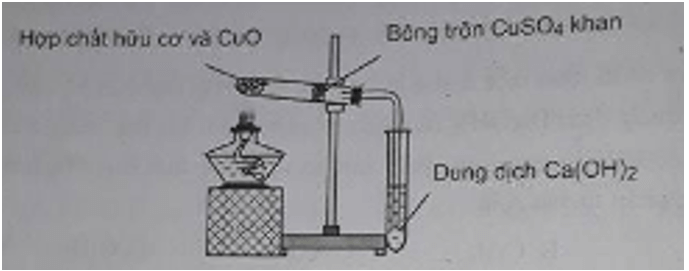 Bài tập trắc nghiệm Hóa 11 | Câu hỏi trắc nghiệm Hóa 11