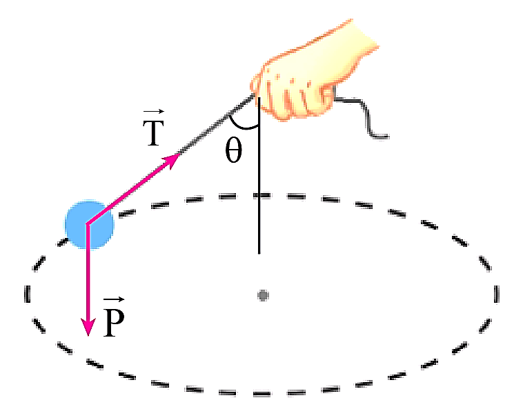 Sách bài tập Vật lí 10 Chủ đề 5: Chuyển động tròn và biến dạng - Cánh diều (ảnh 1)