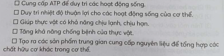 Hô hấp ở thực vật có những vai trò nào sau đây Cung cấp ATP để duy trì (ảnh 1)