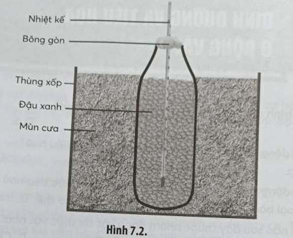 Cột thuỷ ngân trong nhiệt kế sẽ thay đổi như thế nào sau 3 giờ thí nghiệm (ảnh 1)