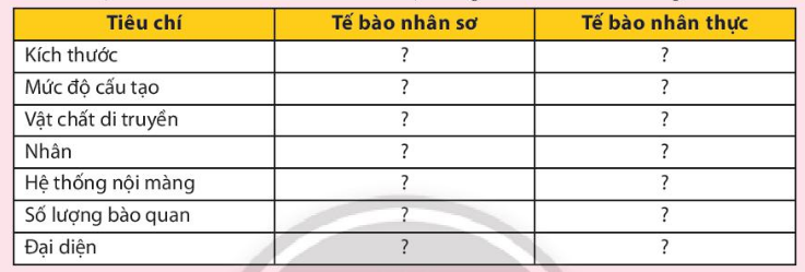 Sinh học 10 Bài 9: Tế bào nhân thực | Giải Sinh 10 Chân trời sáng tạo (ảnh 10)