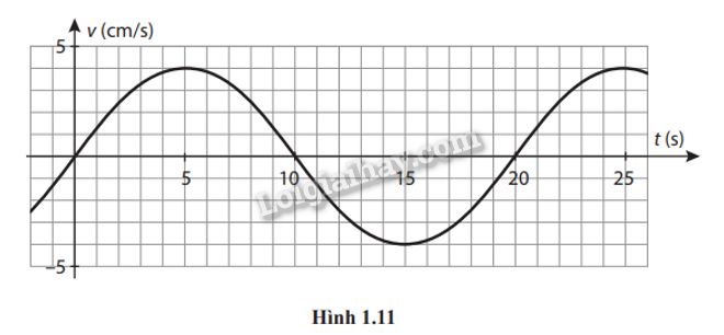 Giải SBT Vật lí 11 Chủ đề 1 (Cánh diều): Dao động (ảnh 9)