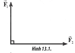 Sách bài tập Vật lí 10 Bài 13: Moment lực. Điều kiện cân bằng - Chân trời sáng tạo (ảnh 1)