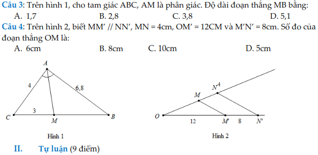 Tuyển tập đề thi giữa học kì 2 Toán lớp 8 (ảnh 2)