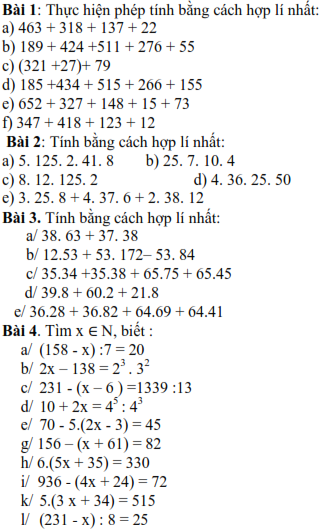 Đề cương học kì I môn Toán lớp 6 (ảnh 2)