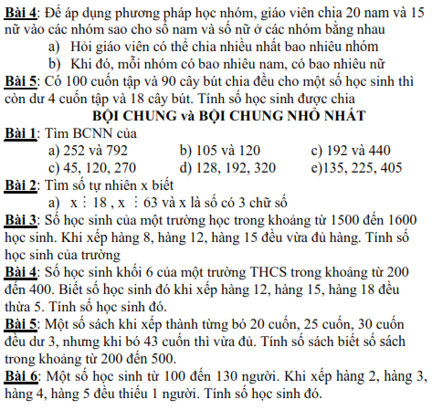 Đề cương học kì I môn Toán lớp 6 (ảnh 8)