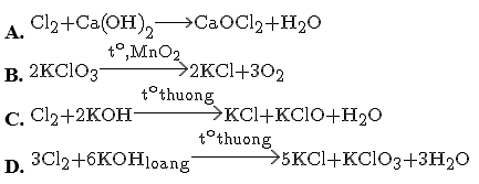 20 câu trắc nghiệm về Clo có đáp án, chọn lọc (ảnh 11)