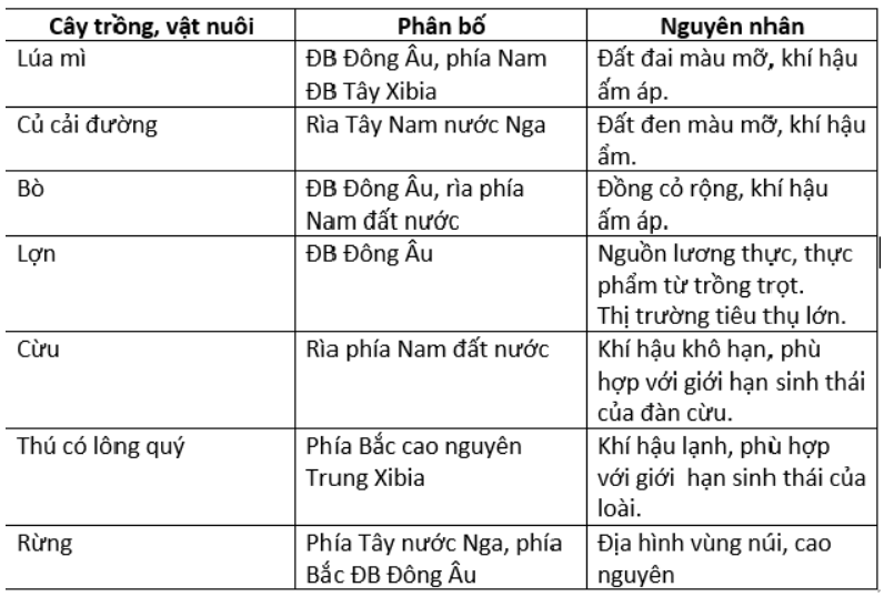 Giải Địa Lí 11 Bài 8 Tiết 3: Thực hành: Tìm hiểu sự thay đổi GDP và phân bố nông nghiệp của Liên bang Nga (ảnh 3)