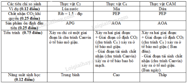 Bộ 10 đề thi giữa kì 1 Sinh học 11 Kết nối tri thức có đáp án năm 2023 (ảnh 1)