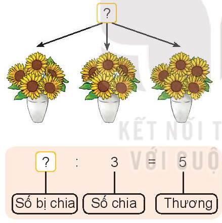 Lý thuyết Tìm thành phần trong phép nhân, phép chia (Kết nối tri thức 2022) hay, chi tiết | Toán lớp 3 (ảnh 2)