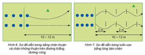 Vận dụng kĩ thuật dẫn bóng bằng lòng bàn chân để luyện tập, rèn luyện thể dục hàng ngày