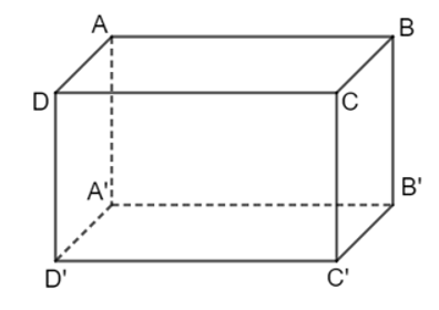 Câu nào sau đây là sai? Hình hộp chữ nhật ABCD.A'B'C'D' có