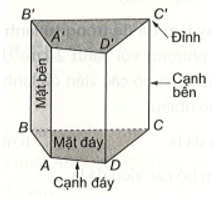 Hình lăng trụ đứng tứ giác có số mặt bên là