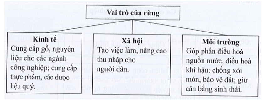 Hãy vẽ sơ đồ thể hiện vai trò của rừng đối với kinh tế, xã hội và môi trường