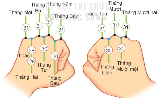 Lý thuyết Xem đồng hồ. Tháng - năm (Kết nối tri thức 2022) hay, chi tiết | Toán lớp 3 (ảnh 3)