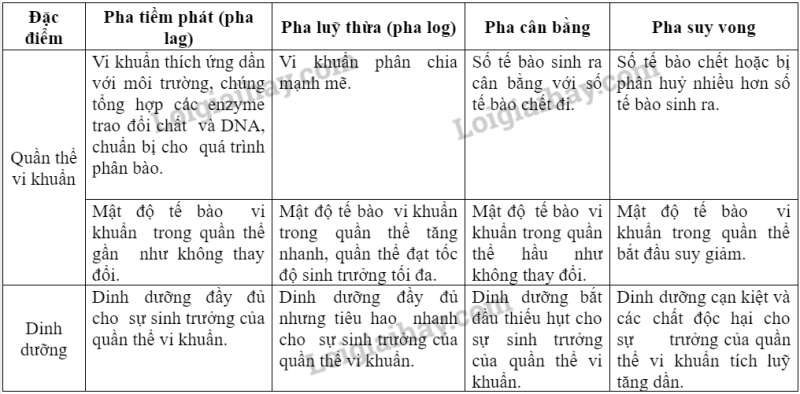 Sinh học 10 Ôn tập phần 3 | Giải Sinh 10 Cánh diều (ảnh 2)