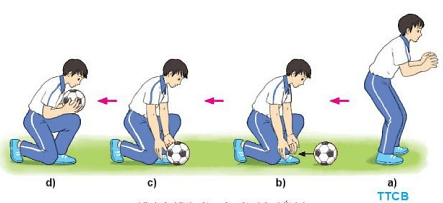 Kĩ thuật quỳ một chân bắt bóng thường được sử dụng với đường bóng nào