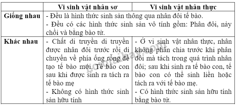 Sinh học 10 Ôn tập phần 3 | Giải Sinh 10 Cánh diều (ảnh 3)