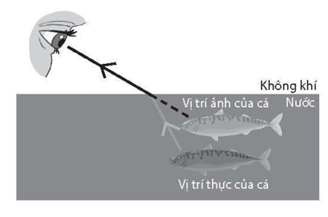 Hãy dùng hiện tượng khúc xạ ánh sáng để giải thích vì sao để bắt một con cá trong nước