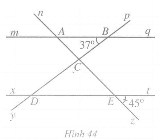 Quan sát Hình 44, có mq // xt