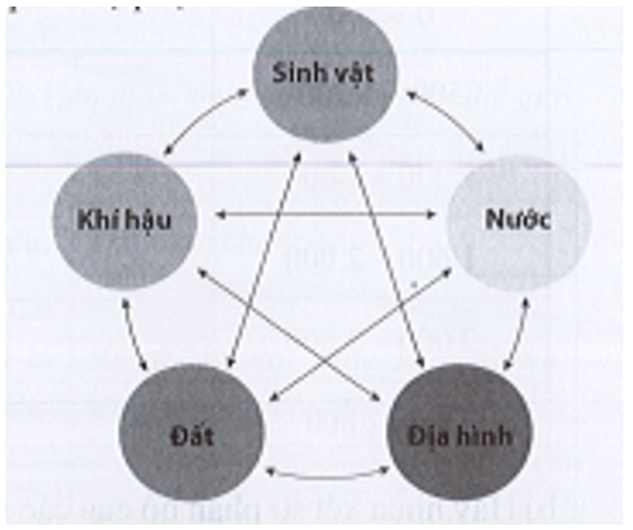 Quan sát hình 14.1, hãy lựa chọn một thành phần tự nhiên để phân tích ảnh hưởng