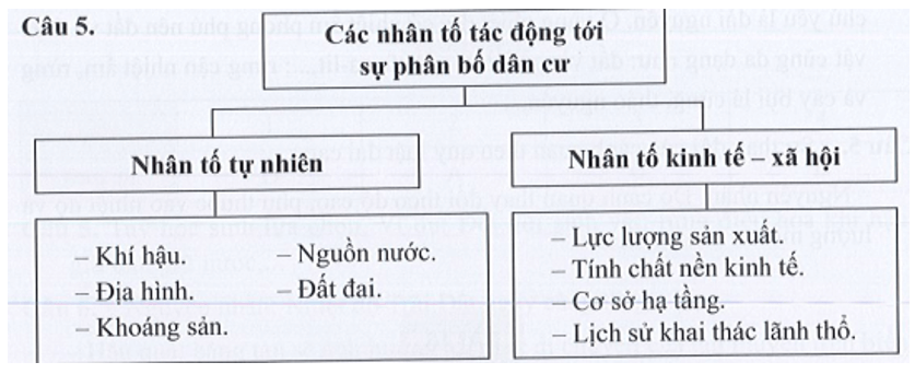 Hãy vẽ sơ đồ thể hiện các nhân tố tác động đến sự phân bố dân cư