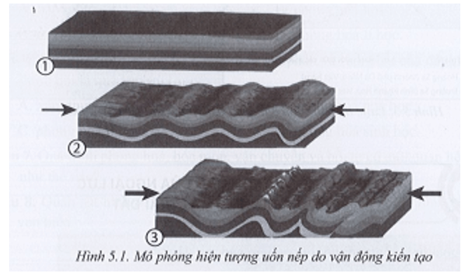 Quan sát hình 5.1, hãy trình bày hiện tượng uốn nếp