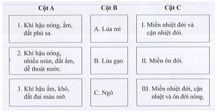 Nối ý ở cột A (đặc điểm sinh thái) với ý ở cột B (cây lương thực) và cột C (phân bố) sao cho đúng