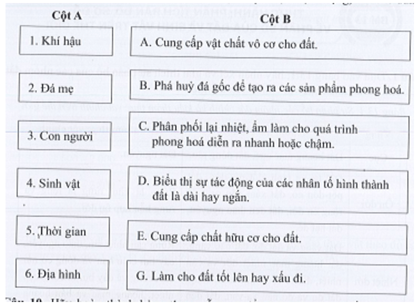 Nối ý ở cột A (nhân tố hình thành đất) với ý ở cột B (tác động) sao cho đúng