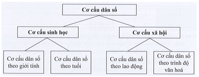 Hãy vẽ sơ đồ thể hiện các loại cơ cấu dân số