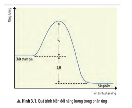 Quan sát Hình 3.1, cho biết số va chạm hiệu quả và khả năng xảy ra phản ứng