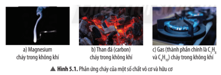 Quan sát Hình 5.1, nêu hiện tượng và viết phương trình hóa học xảy ra