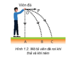 Khi thả viên đá ở Hình 1.2, tại sao viên đá luôn rơi về phía mặt đất