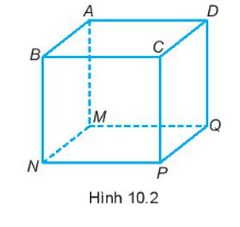 Hình hộp chữ nhật có bao nhiêu mặt?