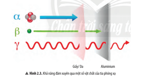 Tia phóng xạ có những loại nào cho biết đặc điểm của từng loại