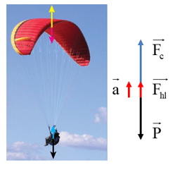 Biểu diễn hợp lực và gia tốc của người nhảy dù khi đang rơi chưa bung dù