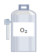 Chọn hóa chất, dụng cụ và thực hiện thí nghiệm điều chế khi sulfur dioxide từ sulfur , oxygen.