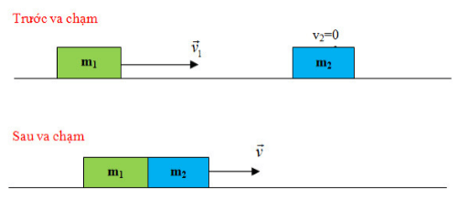Dựa vào định luật bảo toàn động lượng, hãy thiết lập công thức tính tốc độ của hai xe
