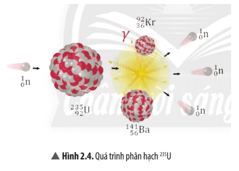 Quan sát Hình 2.4 và Ví dụ 1, hãy so sánh số khối của các mảnh phân hạch