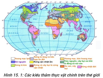 Trắc nghiệm Địa Lí 10 Bài 19 có đáp án: Sự phân bố sinh vật và đất trên Trái Đất (ảnh 1)