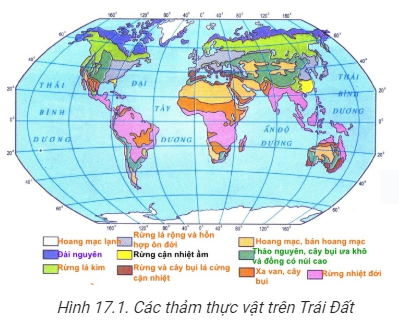 Trắc nghiệm Địa Lí 10 Bài 21 có đáp án: Quy luật địa đới và quy luật phi địa đới (ảnh 2)