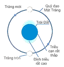 Chuyên đề Vật lí 10 Bài 6: Nhật thực, nguyệt thực, thủy triều - Kết nối tri thức (ảnh 1)