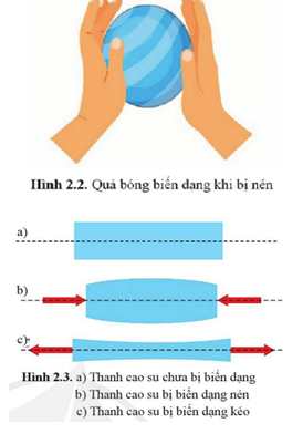 Giáo án Vật lí 10 Bài 2 (Cánh diều 2023): Sự biến dạng (ảnh 1)