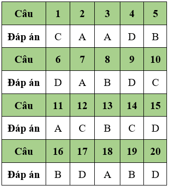 Đề thi Giữa học kì 1 Tin học lớp 11 có đáp án (Đề 1)