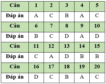 Đề thi Giữa học kì 1 Tin học lớp 11 có đáp án (Đề 2)