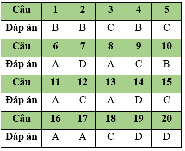 Đề thi Giữa học kì 1 Tin học lớp 11 có đáp án (Đề 3)