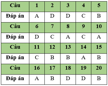 Đề thi Giữa học kì 1 Tin học lớp 11 có đáp án (Đề 4)